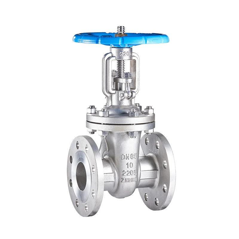 2205 National Standard Flange Gate Valve