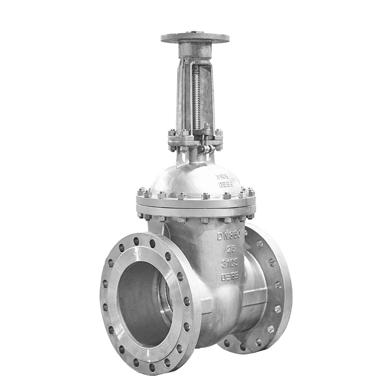310S National Standard Flange Gate Valve