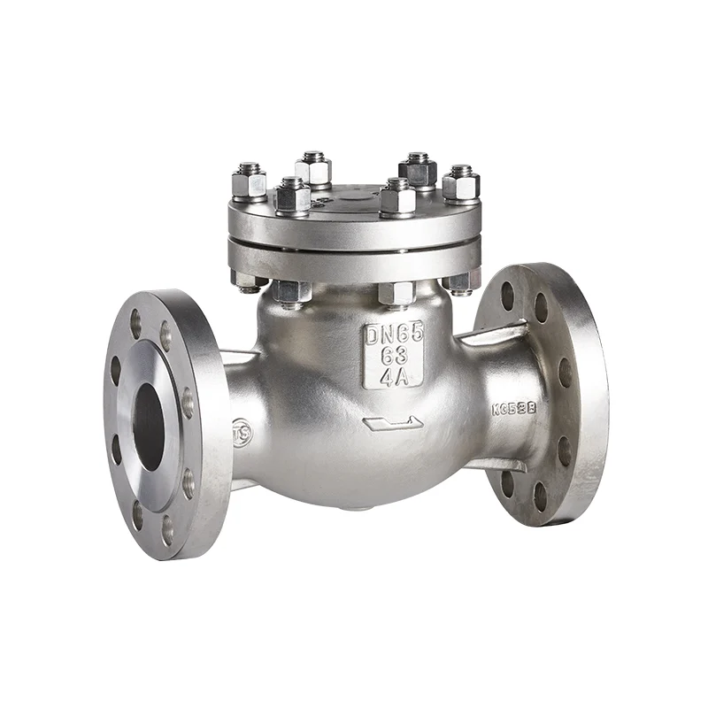 4A National Standard Swing Check Valve