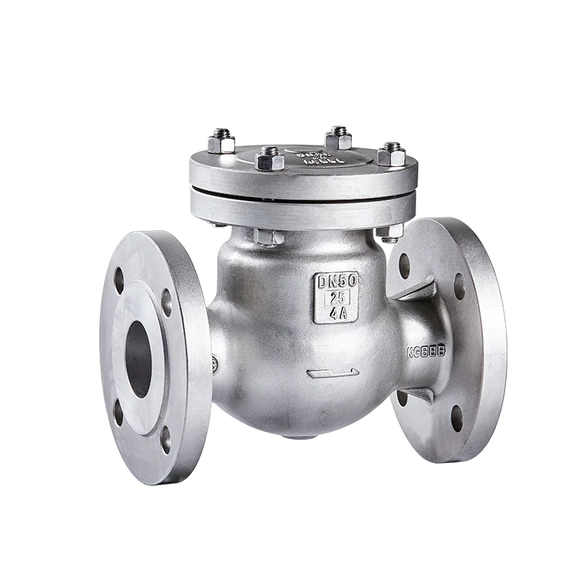 4A National Standard Swing Check Valve