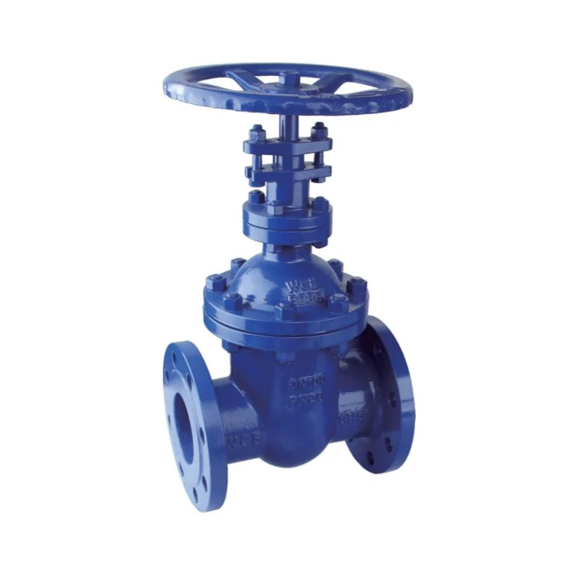 Blind Rod Flange Gate Valve