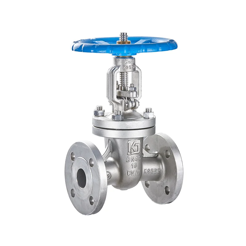 CN7M National Standard Flange Gate Valve